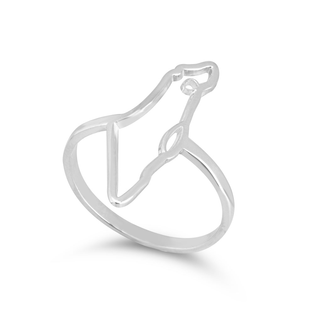 Israel Map Ring