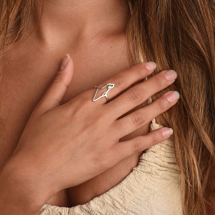 Birthstone Israel Map Ring model