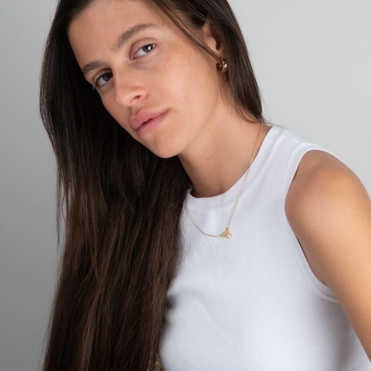 Thick Chai Necklace With Rolo Chain model